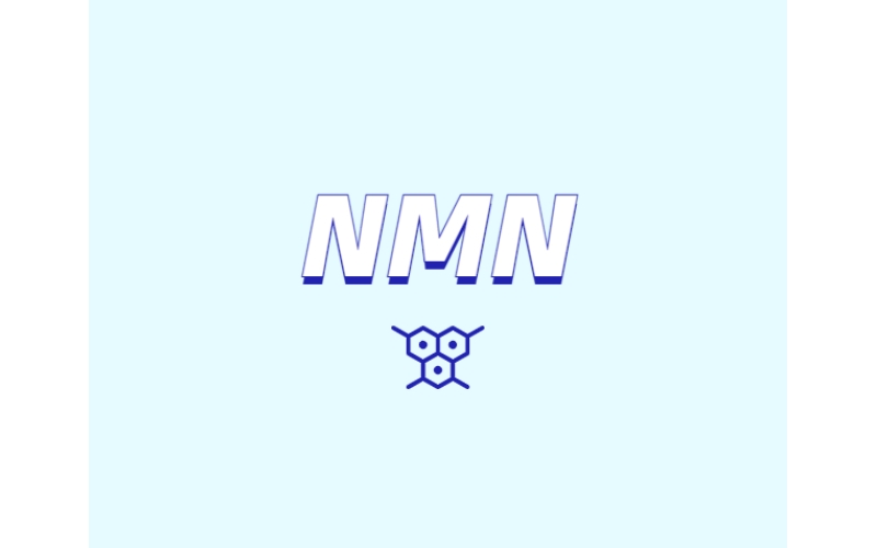 NMN與NR的差異和區(qū)別